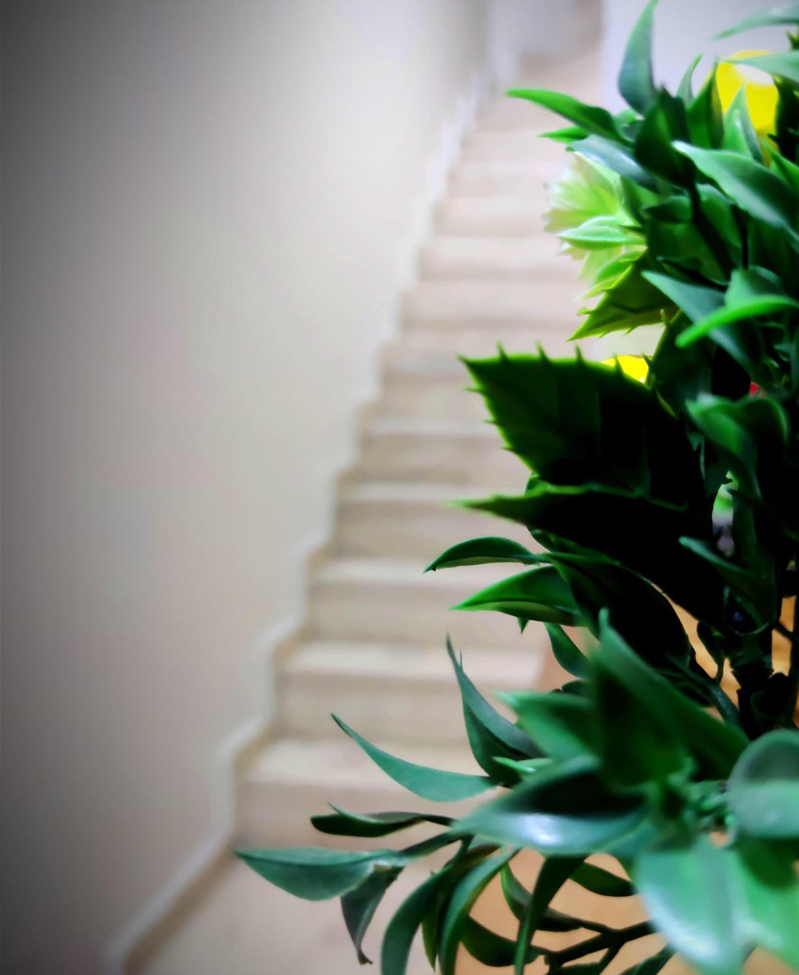 Mimoza İstiklal Apart Hotel Isztambul Szoba fotó